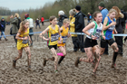 Girls under-13s 2018 British Inter Counties Cross Country Champs., Prestwold Hall, Loughborough. Photo: David T. Hewitson/Sports for All Pics